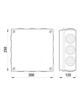 Розподільча коробка e.db.pro.300.250.120